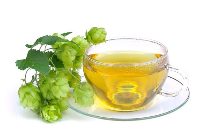 Hops Tea for Sleep